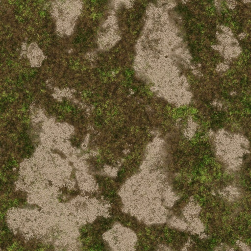 Variation 6