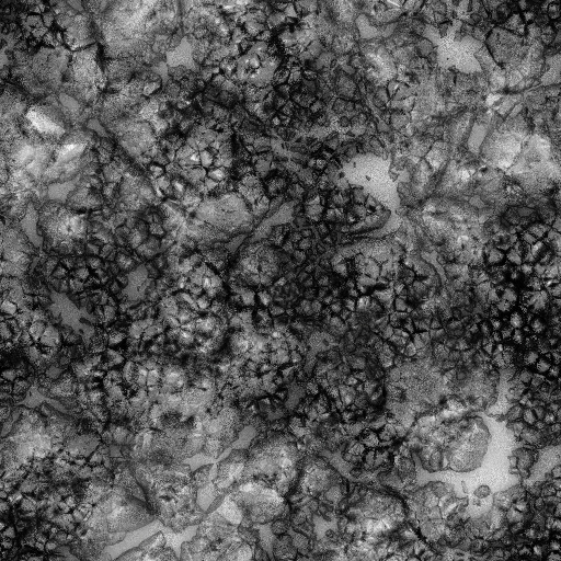 Ambient Occlusion Map