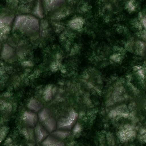 Variation 8