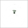 SDG's Night Vision