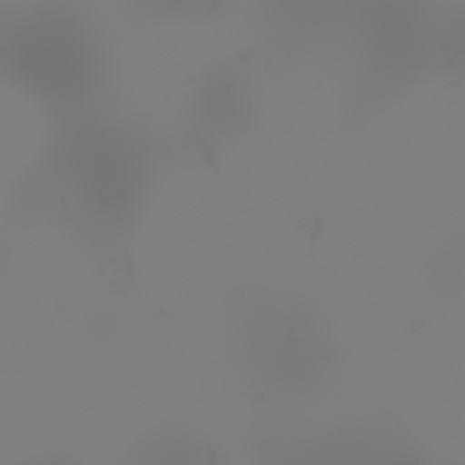 Bump Map