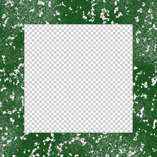 Variation 7