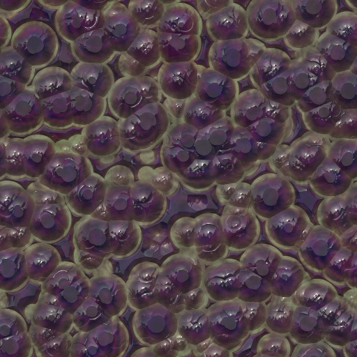 Variation 8