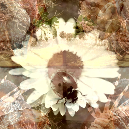 Variation 6