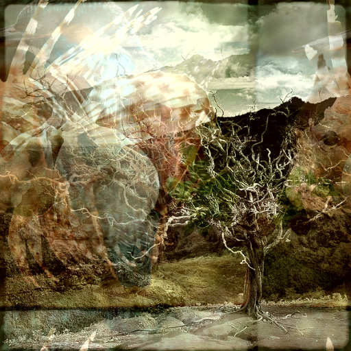 Variation 7