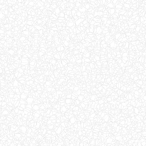 Bump Map