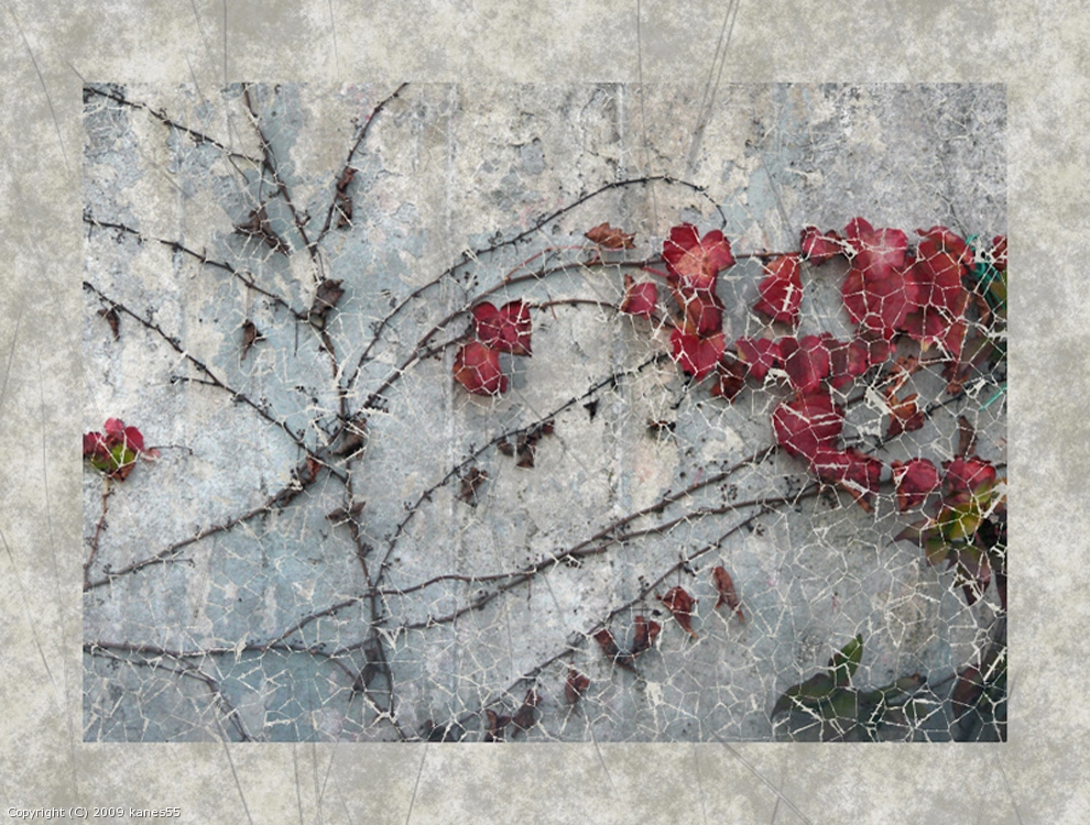Winter Memories by kanes55