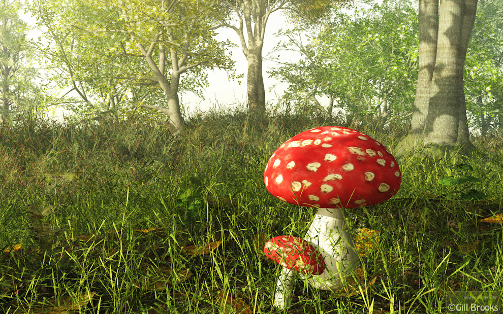 Forest Morning by Gill Brooks