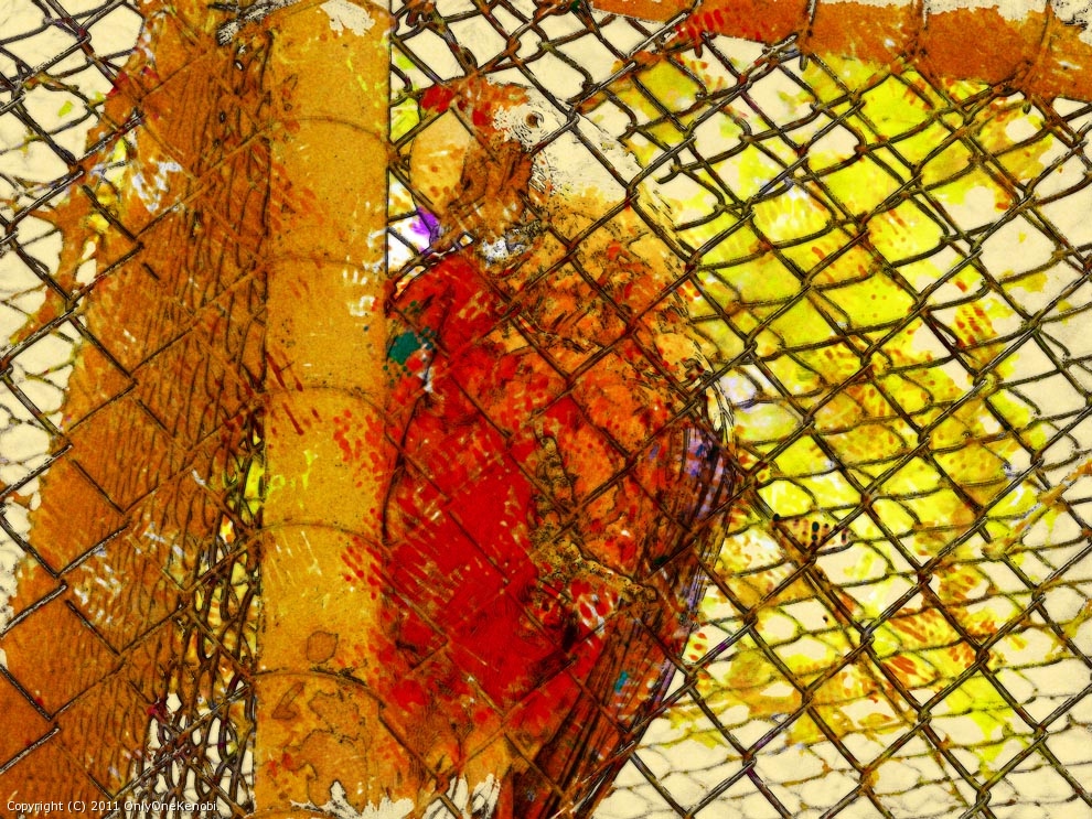 Pretoria Zoo Macaw by OnlyOneKenobi