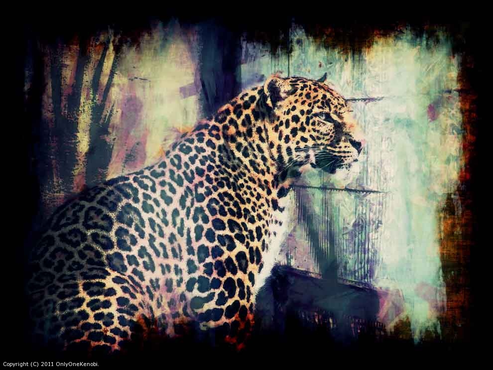 Big Beautiful Spotted Kitty by OnlyOneKenobi