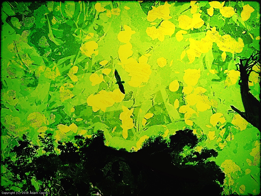 Chartreuse by Indigo Ray