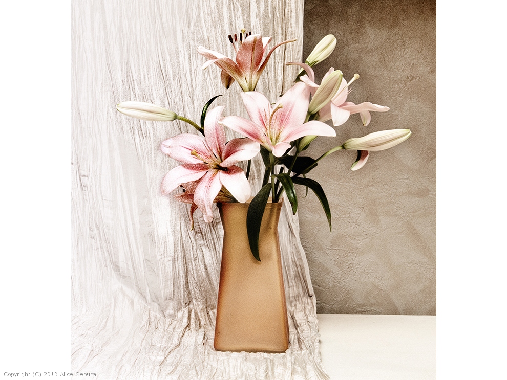 Asiatic Lillies by Alice Gebura
