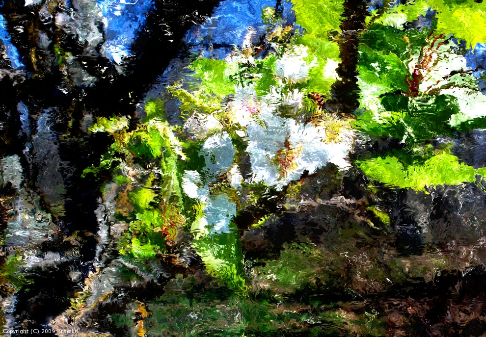 White Blossums 09 by Kraellin
