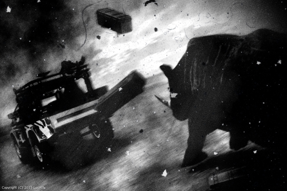 Rhino Chase by Luci45