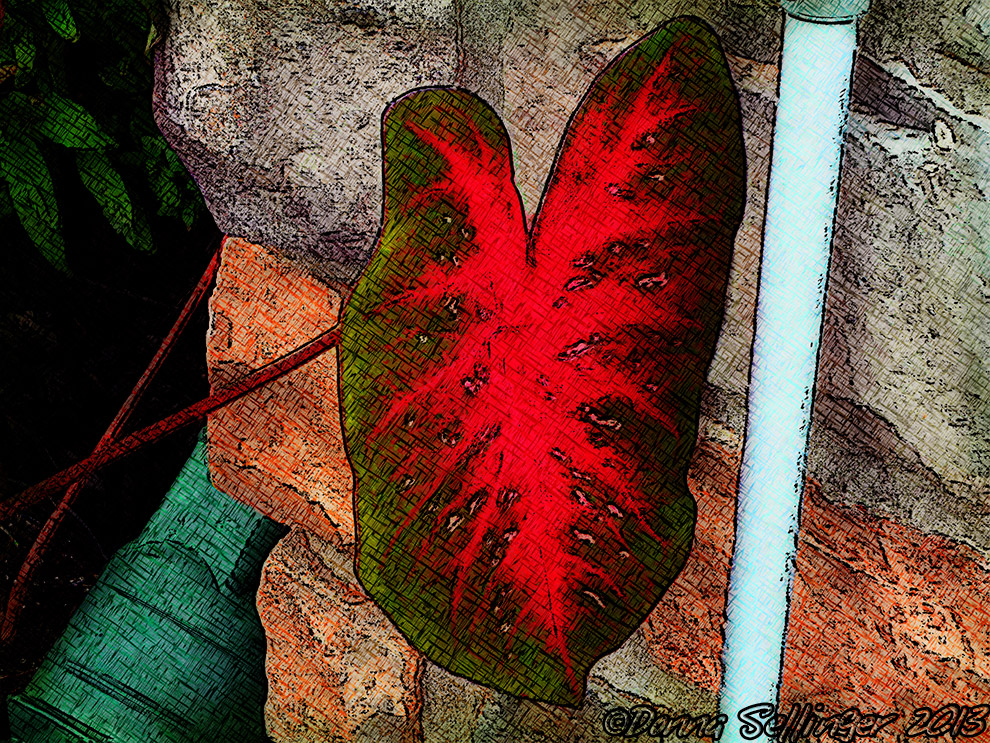 Leaf by dfsmetsfan