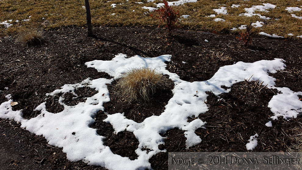 Last Vestiges of Snow by dfsmetsfan