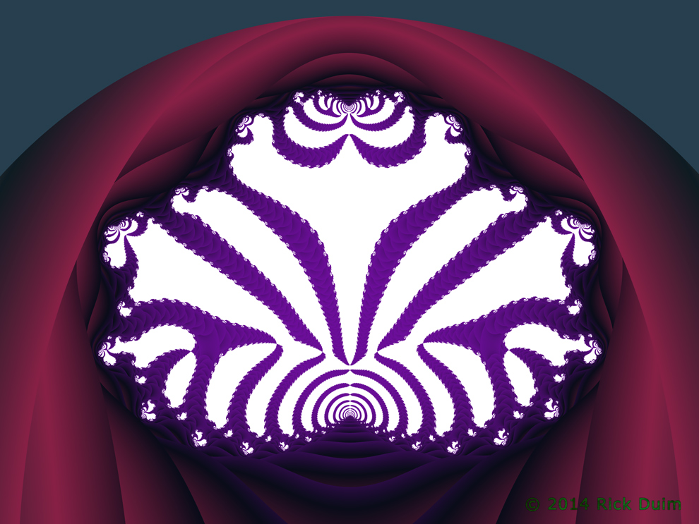 Lotus Sunrise by Rachel Duim