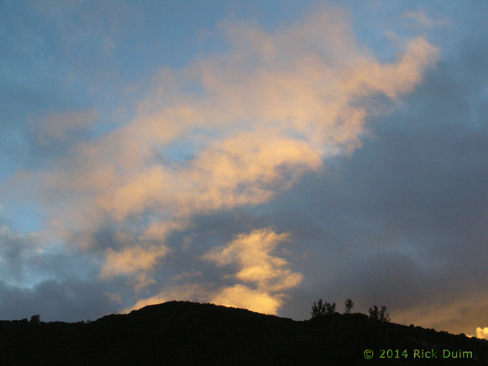 Vinnie's Sky by Rachel Duim