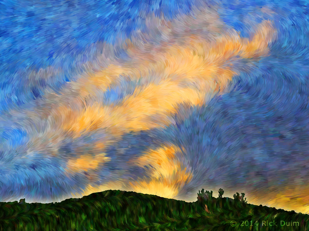 Vinnie's Sky by Rachel Duim