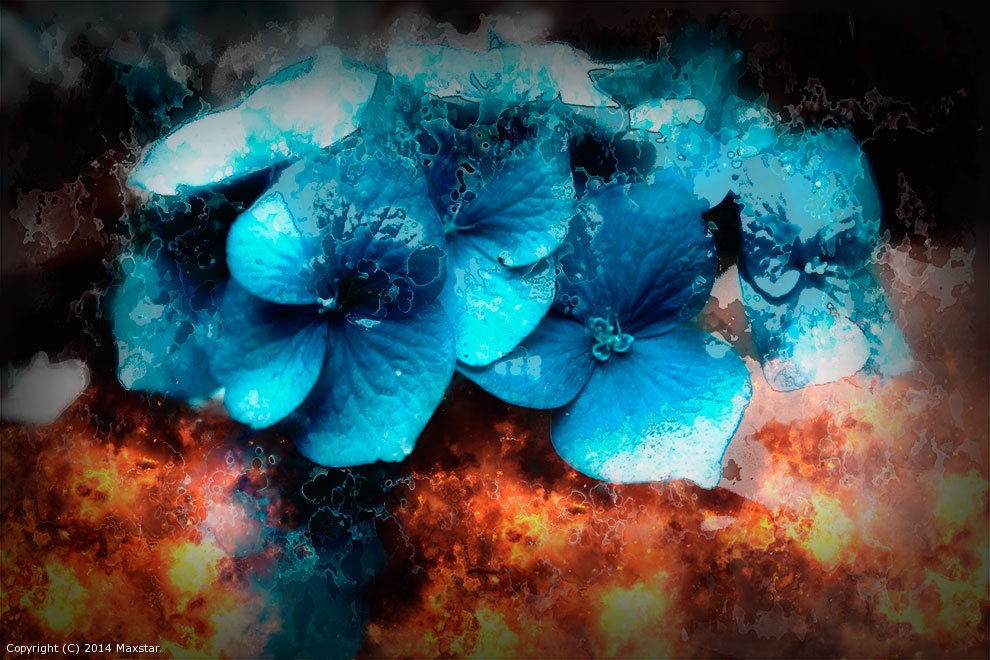 Ice&Fire by Maxstar