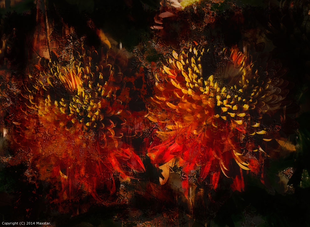 Outburst by Maxstar