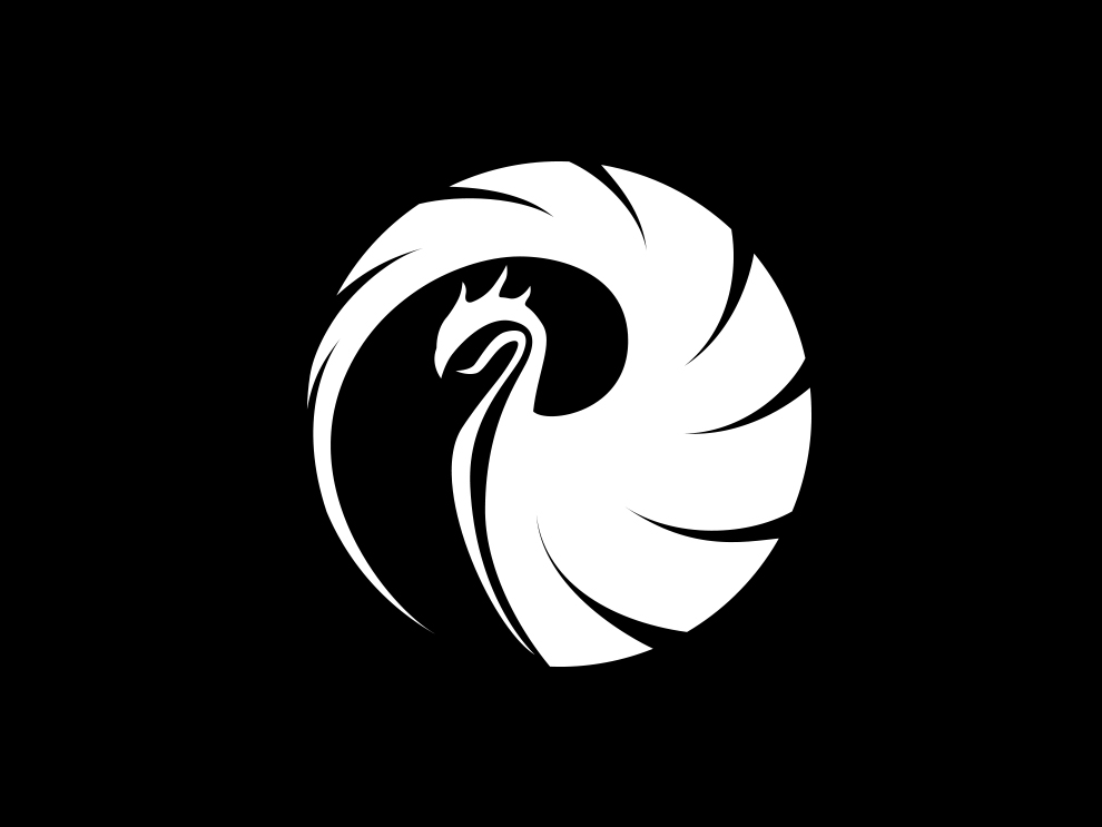 Phoenix by Martin Naumann