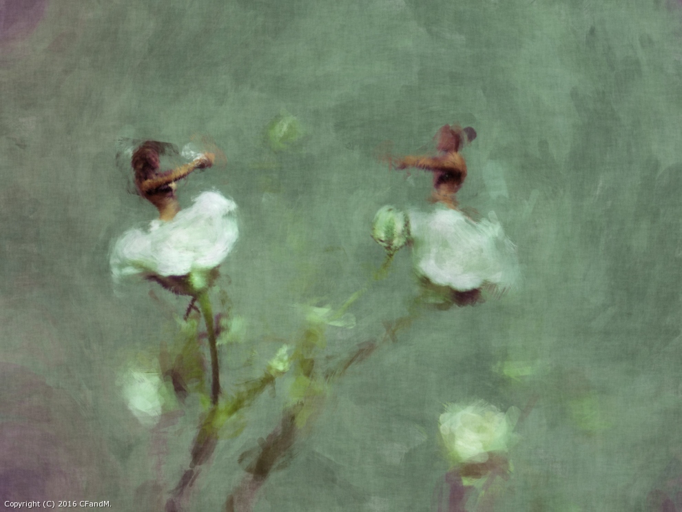 Flower Dancers by CFandM