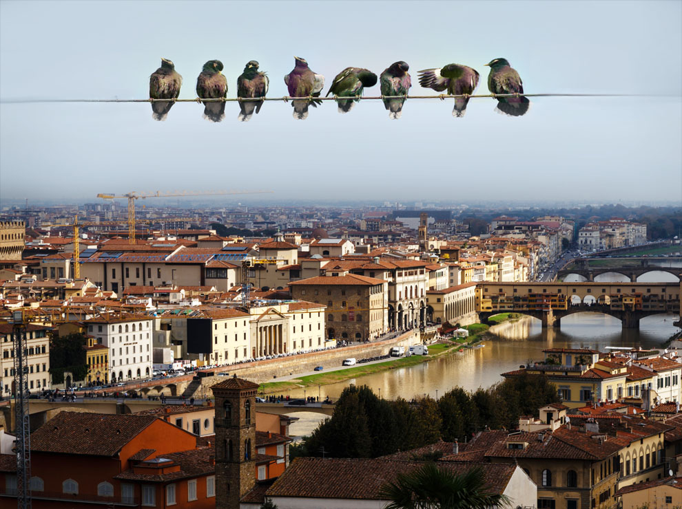 Wire Squad by acire1