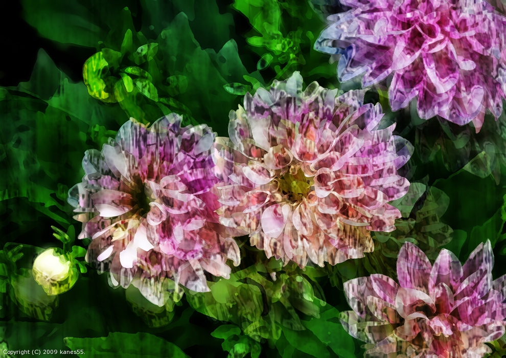 Washed Angel Flowers by kanes55