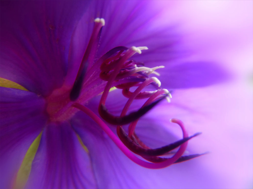 Purple Metropolis by acire1