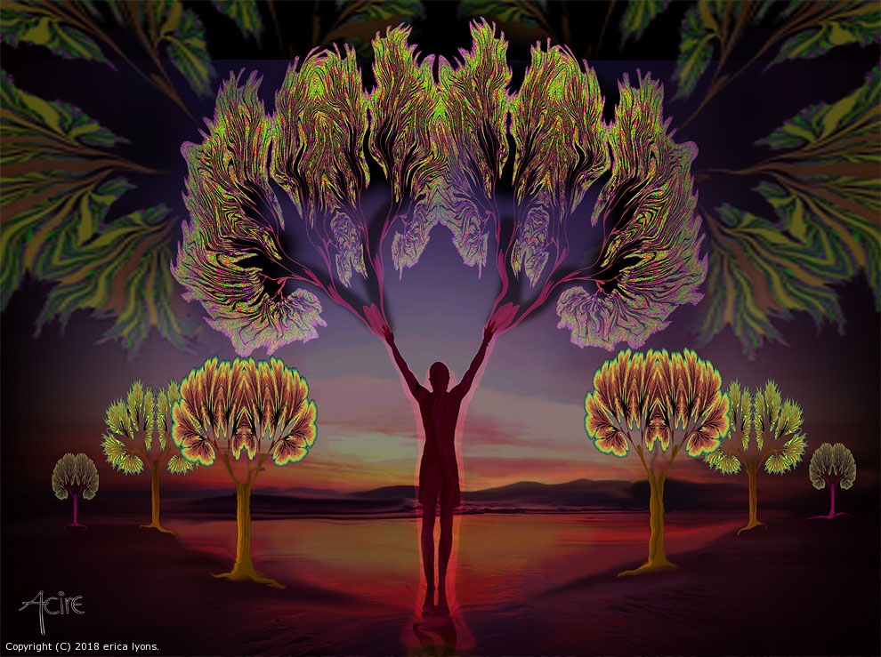 Majestic Trees by erica lyons