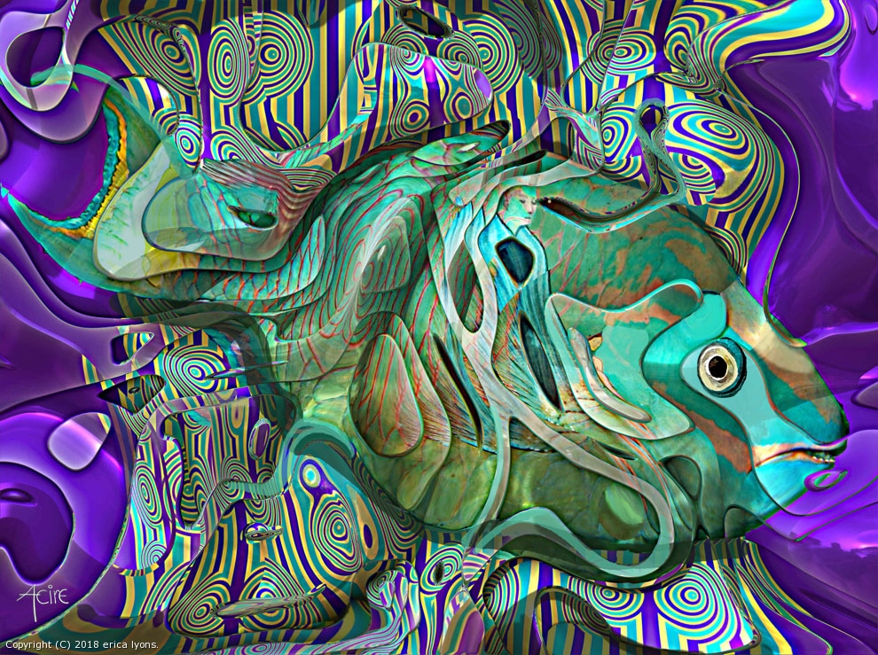 3D Fish by erica lyons