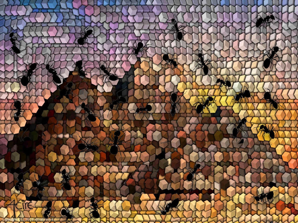 Building Pyramids by erica lyons