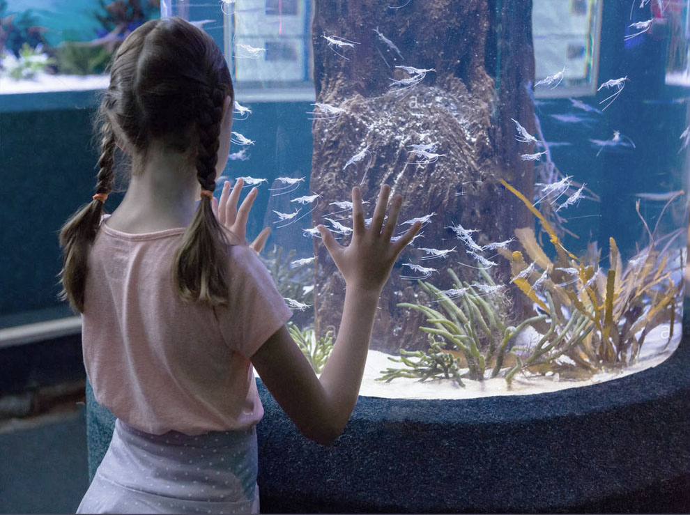 Childhood by erica lyons