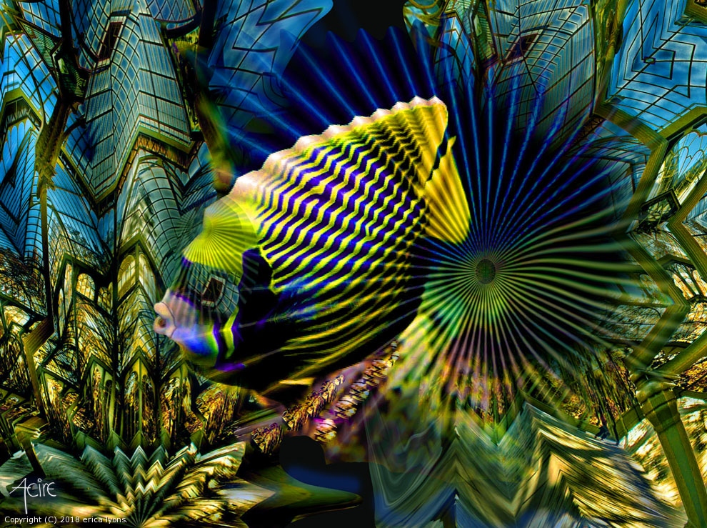 Square eyed Fish by erica lyons