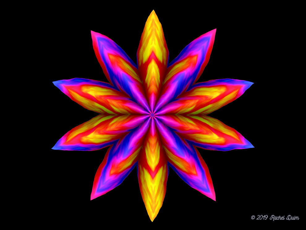Flower and Grass by Rachel Duim