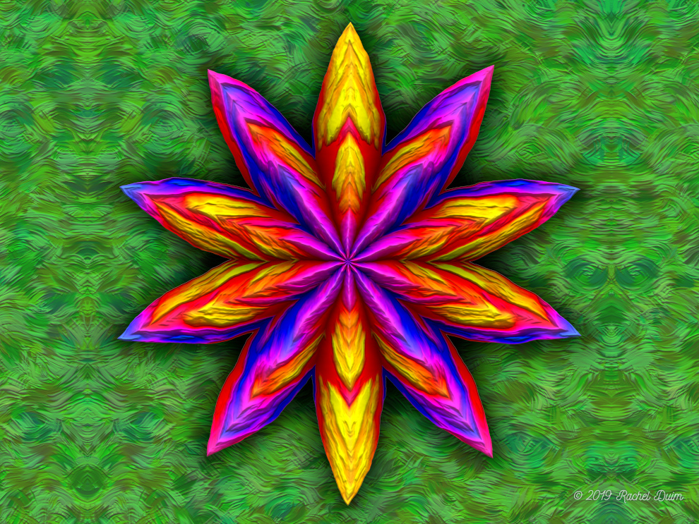 Flower and Grass by Rachel Duim