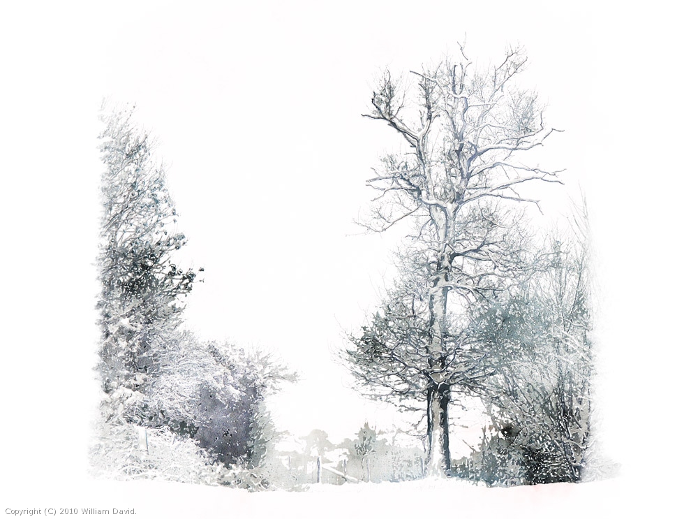 Neulise in white by William David