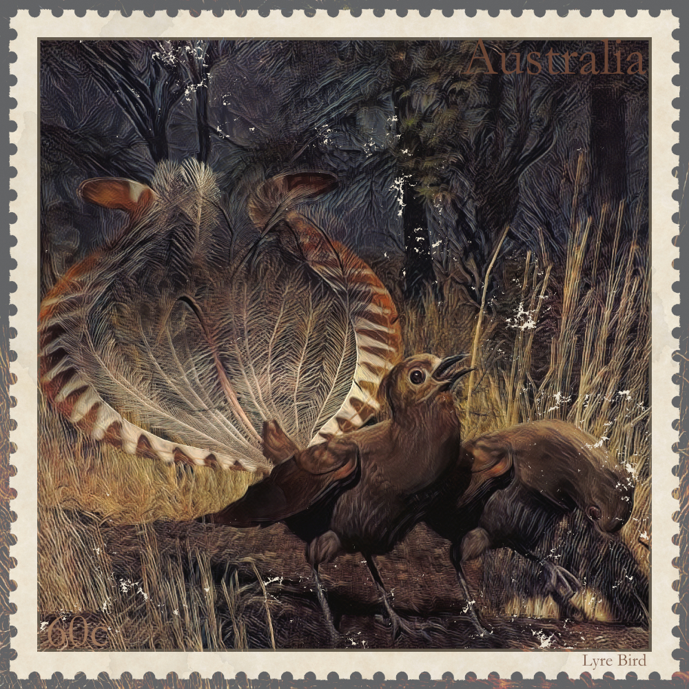 Lyrebird
