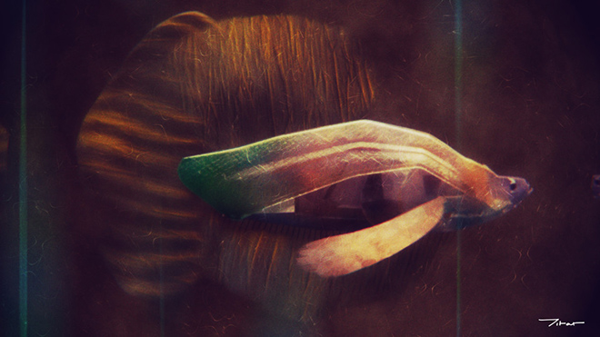 Fish 3D model for the Postmodern Myth scene