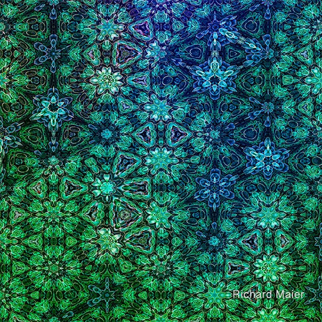 Vernal Metamorphosis 2