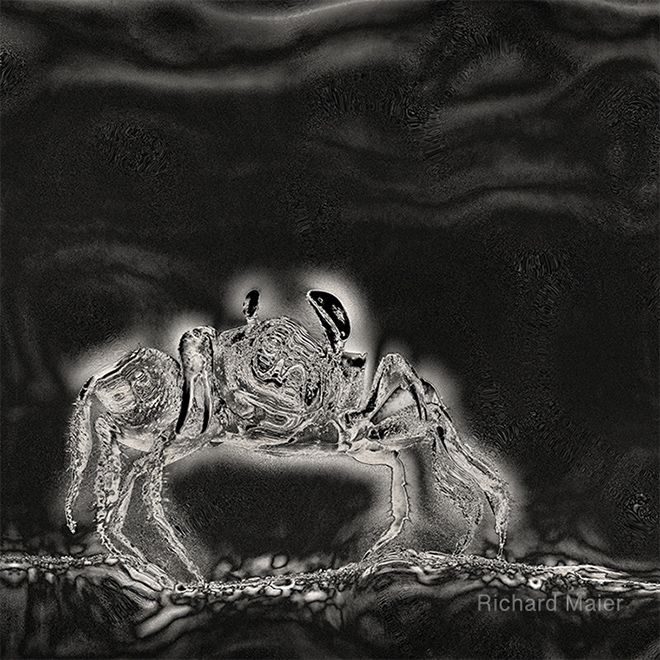 Spectral Darkness 7