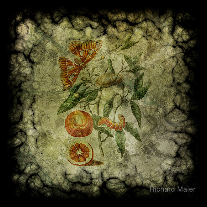Botanica Malefactum 5