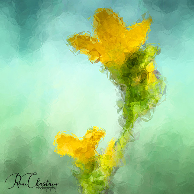 Polygon Painting