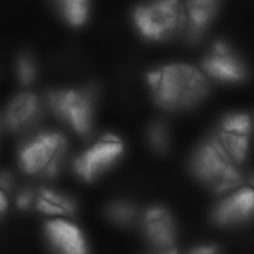 Height Map