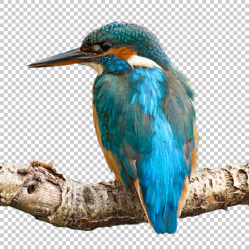 Original Image