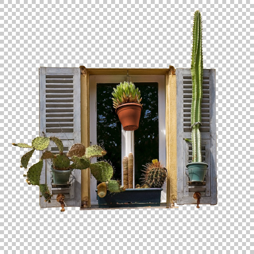 Original Image