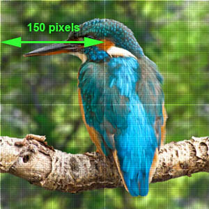300x300