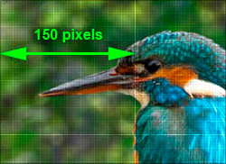 Pixel Awareness